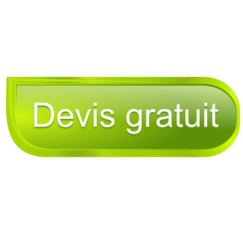 Alt_leschauffeurparisiens_devis8.png