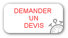 Alt_leschauffeurparisiens_devis9.png