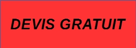 Alt_leschauffeursParisiens07